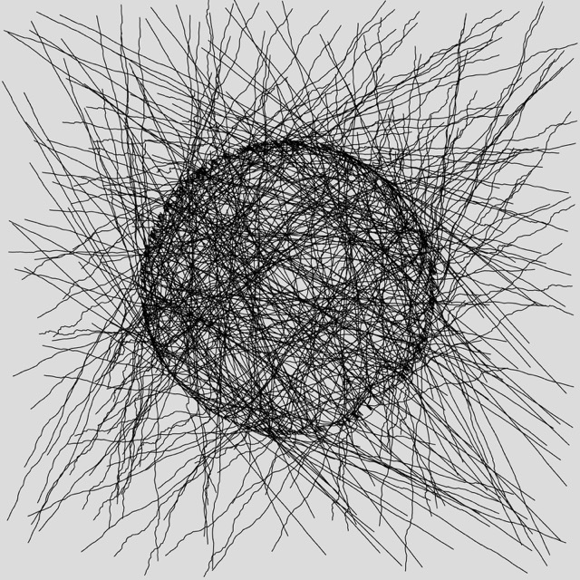 wool_2023812_235232 Medium.jpeg